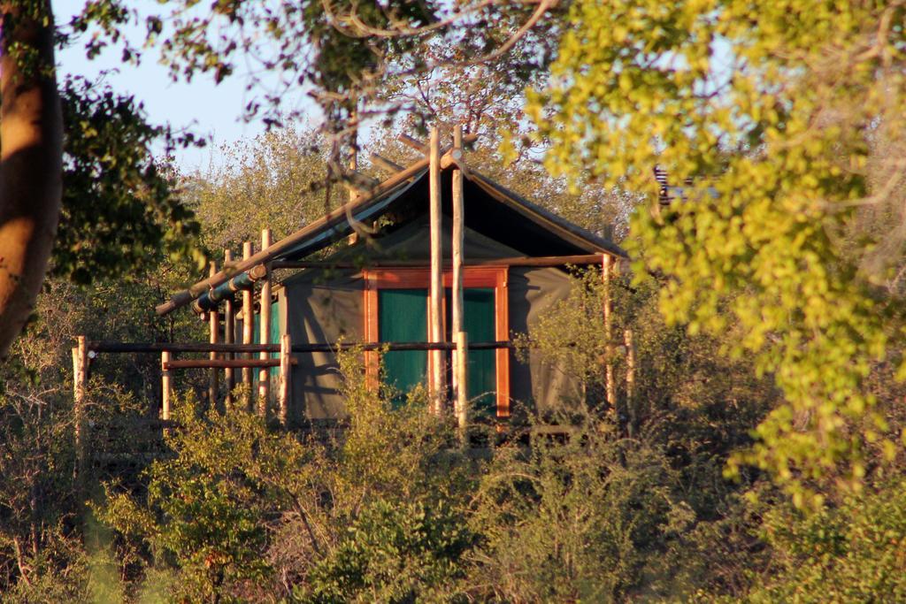 Hotel Mtomeni Safari Camp Phalaborwa Exterior foto