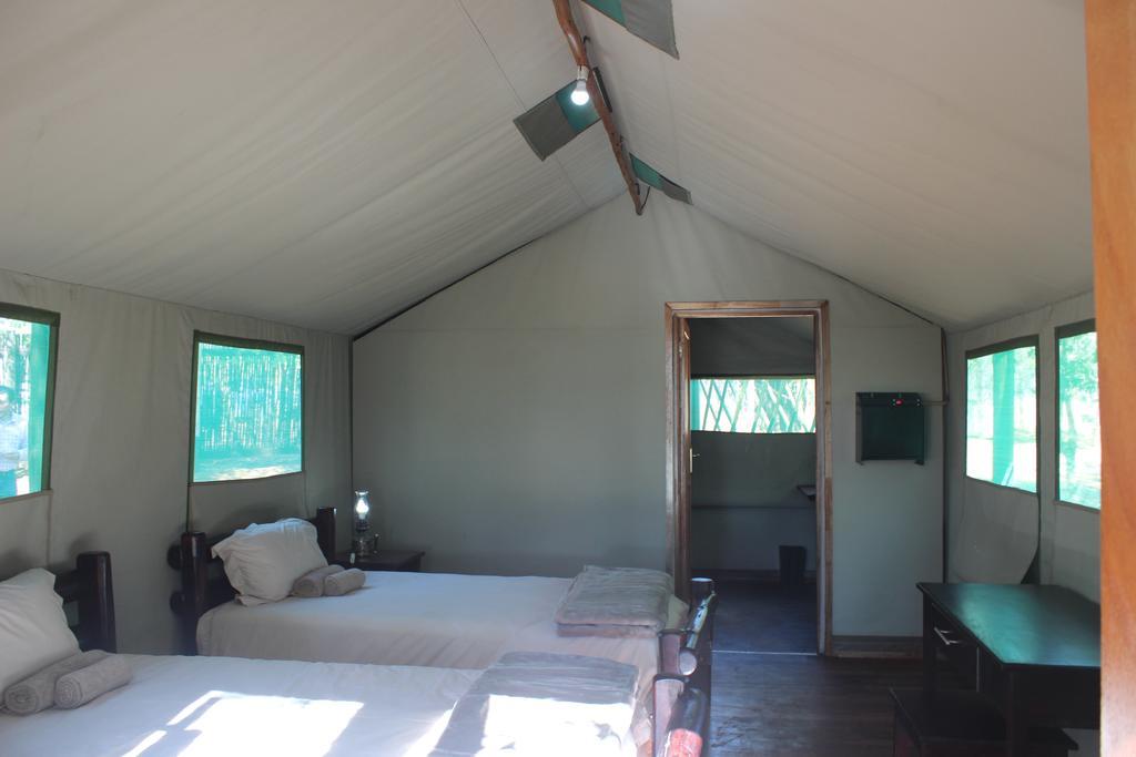 Hotel Mtomeni Safari Camp Phalaborwa Habitación foto