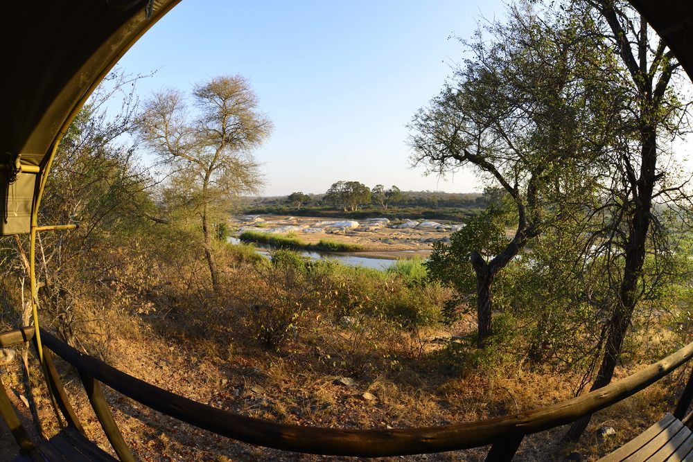 Hotel Mtomeni Safari Camp Phalaborwa Exterior foto
